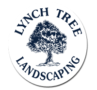 lynch-logo-s